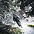 bike magazine / première neige bike magazine / première neige